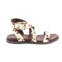 Carmela 162389-48 Cow